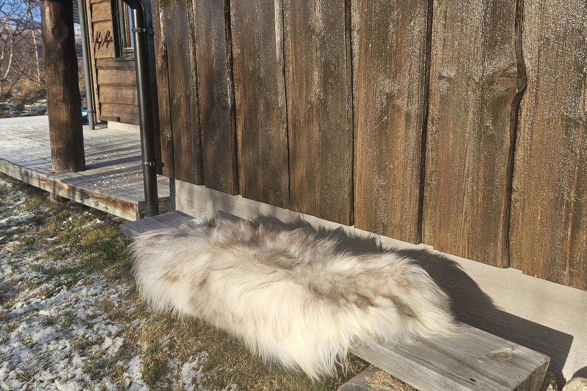 Sheepy saueskinn - ullhvit/gråmelert